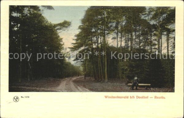 Ruurlo Reurle Windmolenveld b/h Doolhof