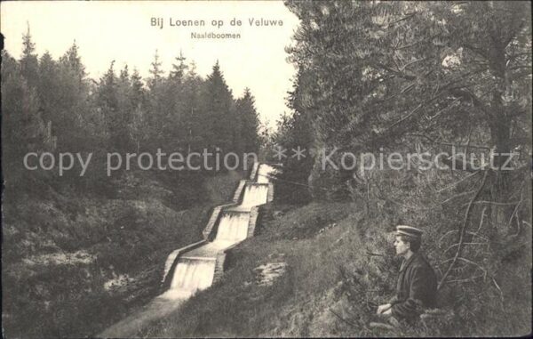Loenen Naaldboomen Waterval Wasserfall