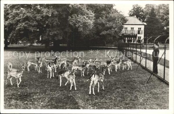 Lochem Hertenkamp Tierpark