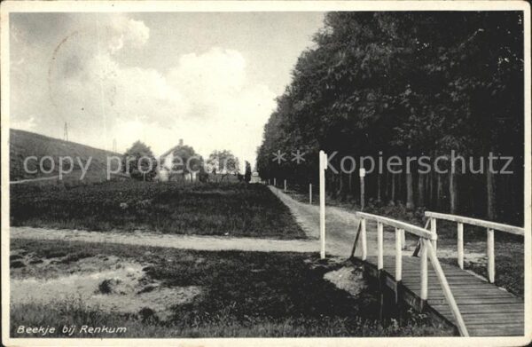 Beekje Weg Holzbrücke Partie am Wald