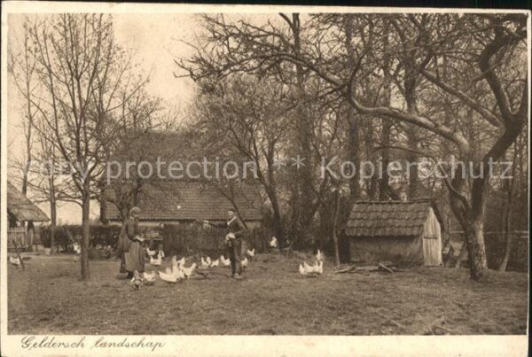 Arnhem Geldersch landschap