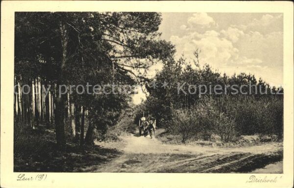 Leur Etten Driehoek Waldpartie