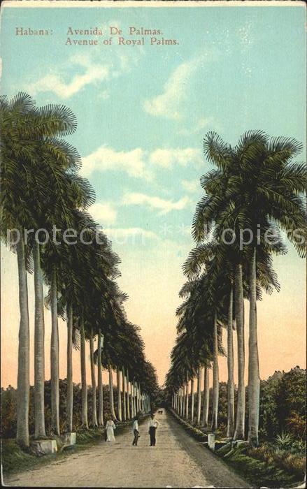 Habana Havana Avenida de Palmas Avenue of Royal Palms