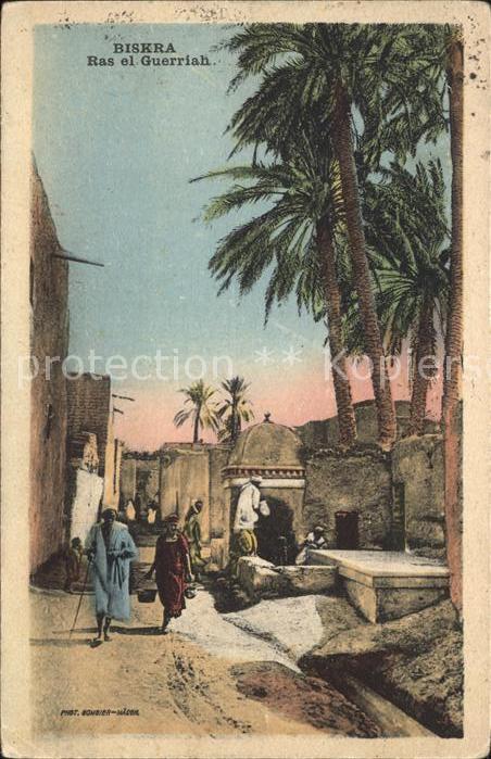 Biskra Ras el Guerriah Palmen