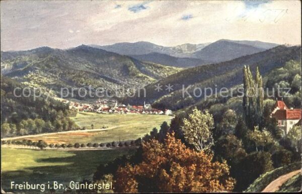 Verlag Wiedemann WIRO Nr. 1987 B Freiburg im Breisgau Günterstal