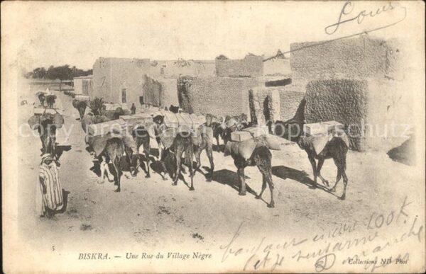 Biskra Une Rue Kamel