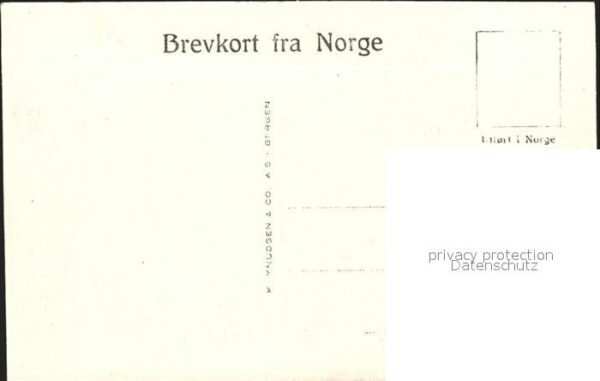 Finse Bergensbanen – Bild 2