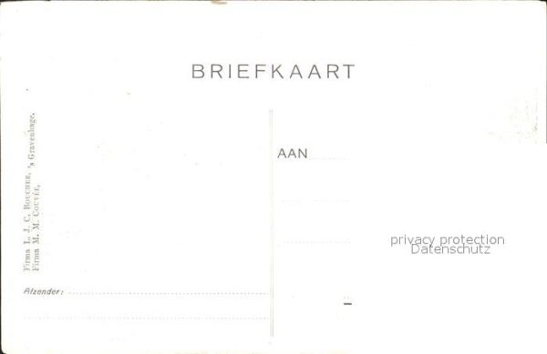 Adel Niederlande Pferdekutsche – Bild 2