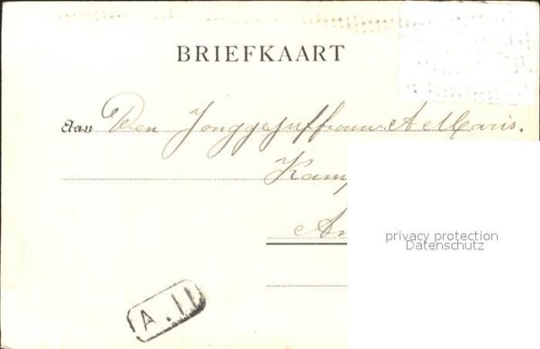Adel Niederlande Königin Wilhelmina Prinz Hendrik – Bild 2