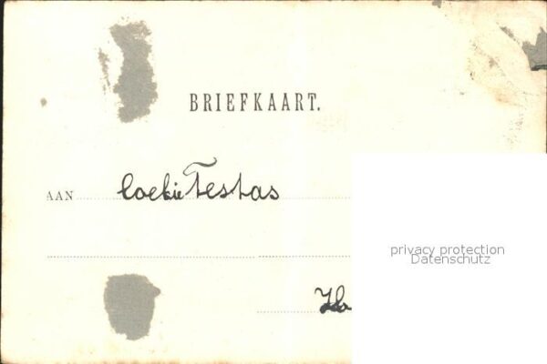 Adel Niederlande Königin Wilhelmina – Bild 2