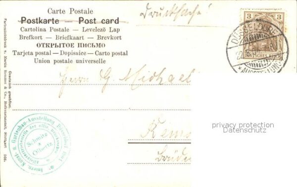 Gartenbauaustellung Düsseldorf 1904 Alpenveilchen – Bild 2