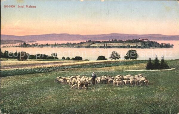 Hirte Schafe Insel Mainau