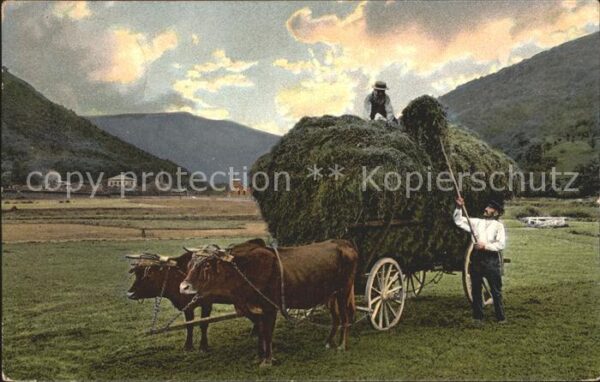 Landwirtschaft Heuernte Mein Westfalenland Carl Eichma