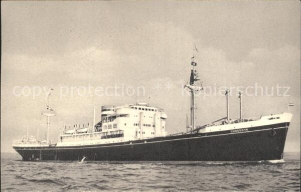 Schiffe Ships Navires M.V. Dongedyk