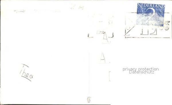 Affen Mahlzeit – Bild 2