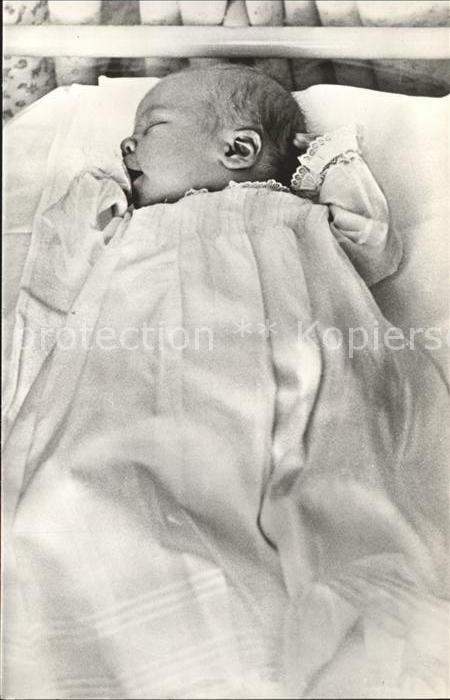 Adel Niederlande Prinz Willem-Alexander