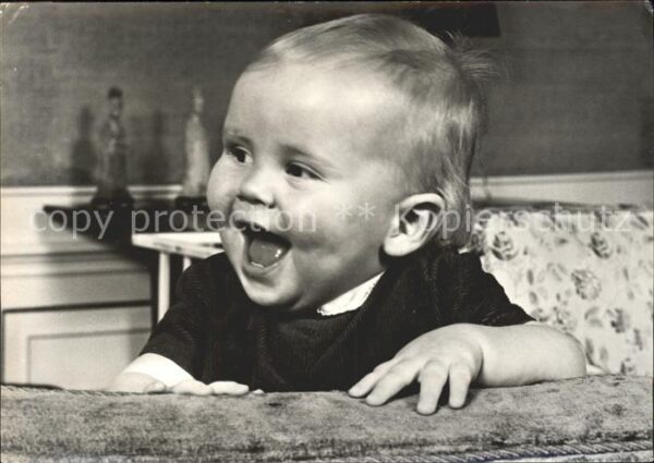 Adel Niederlande Prinz Willem-Alexander