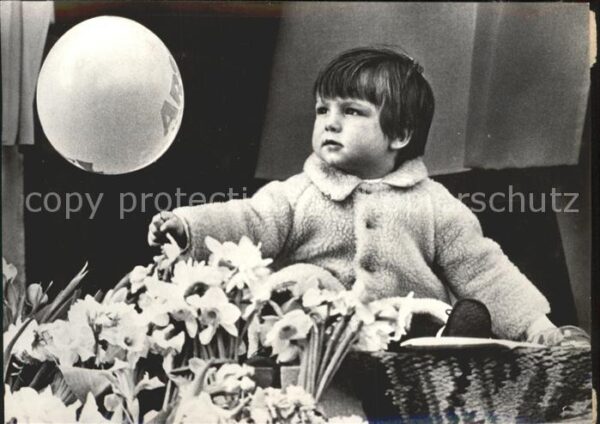 Adel Niederlande Prinz Maurits