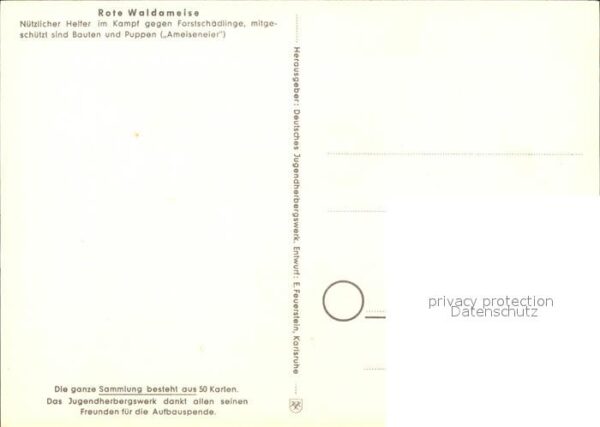 Insekten Rote Waldameise Nr. 47 Jugendherbergswe – Bild 2