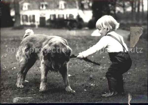 Adel Niederlande Prinz Willem-Alexander Hund