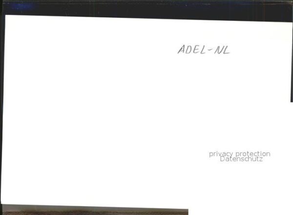 Adel Niederlande Demonstratie Amerika Neutrale Houding – Bild 2