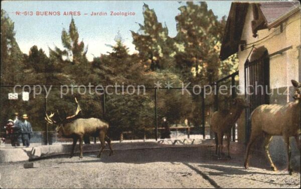 Buenos Aires Jardin Zoologico Elche