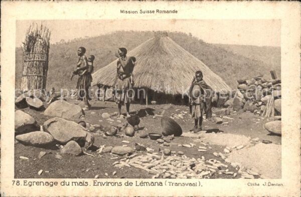 Transvaal Suedafrika Mission Suisse Romande Egrenage du mais