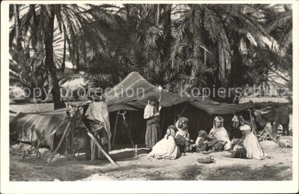 Tunis Nomades Oasis Scenes et Types d_Afrique