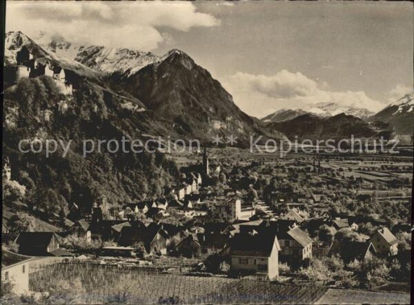 Vaduz Gesamtansicht mit Alpenpanorama