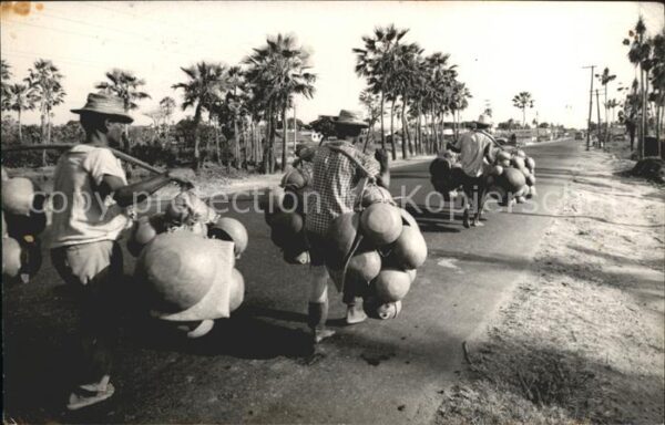 Fortaleza Vendedores de Potes