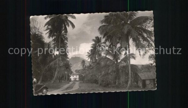 Saint Claude Guadeloupe Habitation au pied de la Soufriere Palm