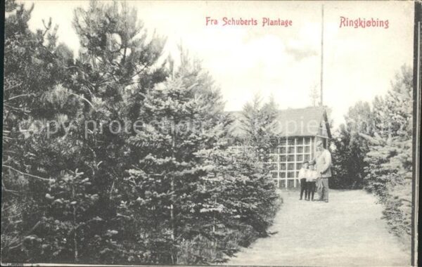 Ringkobing Fra Schuberts Plantage