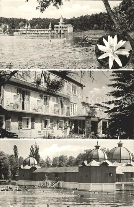 Heviz reszletek