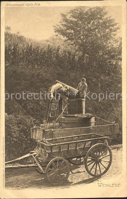 Verlag Elchlepp Nr. 11 Weinlese Schwarzwald