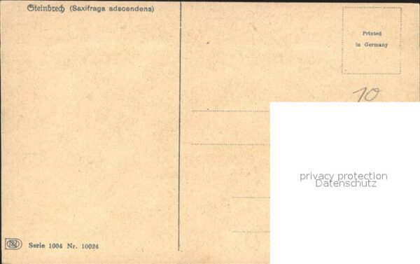Scherenschnitt Schattenbildkarte Bergsteiger Steinbrech – Bild 2