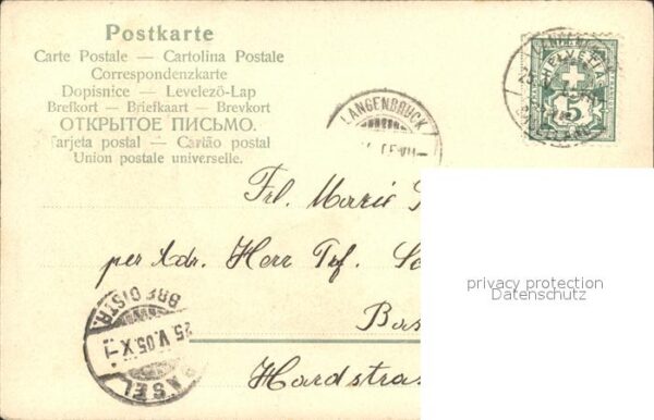Gaertner Gartenwerkzeug Sichel Heugabel Schwalbe – Bild 2