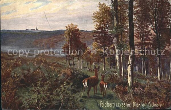 Verlag Wiedemann WIRO Nr. 2072 A Feldberg Taunus Blick vom Fuchss