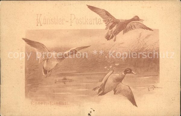 Enten Einfall Künstlerkarte