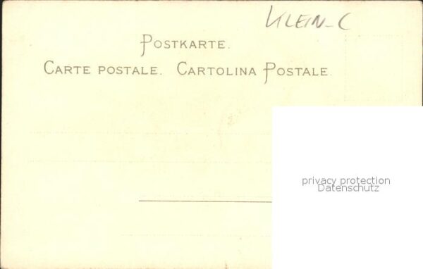 Klein Catharina Kuenstlerlitho Rosen Litho – Bild 2
