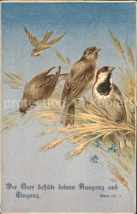 Voegel Litho Psalm Weizen