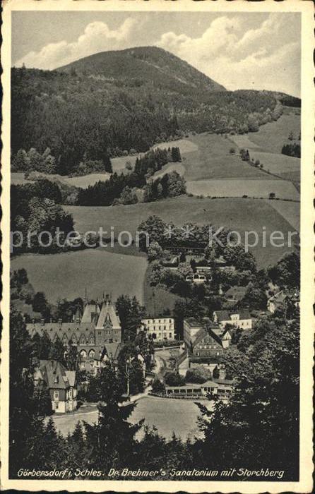 Goerbersdorf Schlesien Dr. Brehmers Sanatorium mit Storchberg