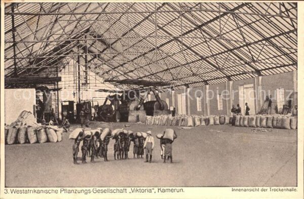Kamerun Afrika Innenansicht der Trockenhalle der Westa