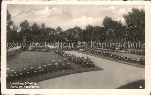 Landsberg Warthe Partie im Rosengarten