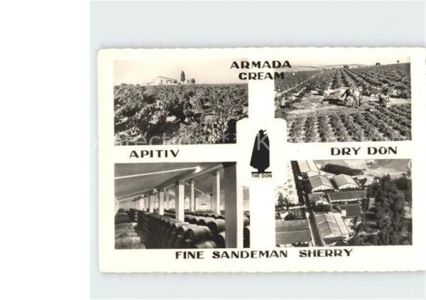 Jerez de la Frontera Armada Cream Apiriv dry don fine sandem