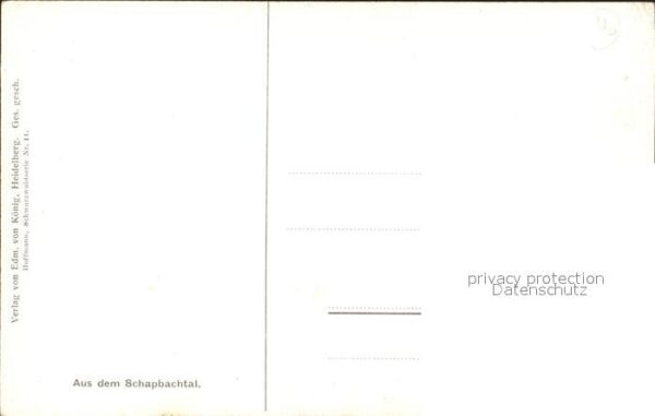 Hoffmann Heinrich Schapbachtal Schwarzwaldhaus – Bild 2