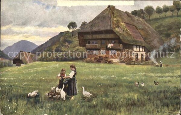 Hoffmann Heinrich Auf sonniger Höhe Schwarzwaldhaus