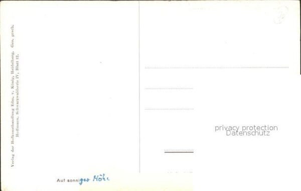 Hoffmann Heinrich Auf sonniger Höhe Schwarzwaldhaus – Bild 2