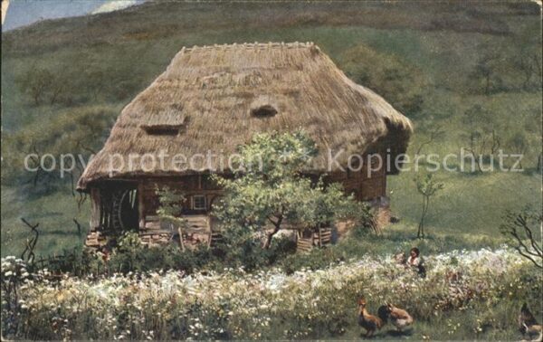 Hoffmann Heinrich Alte Mühle im Schwarzwald