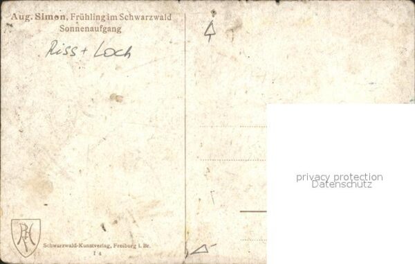 Simon A. Frühling im Schwarzwald Sonnenaufgang – Bild 2