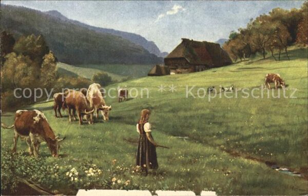 Hoffmann Heinrich Weidende Herde Schwarzwald Kühe